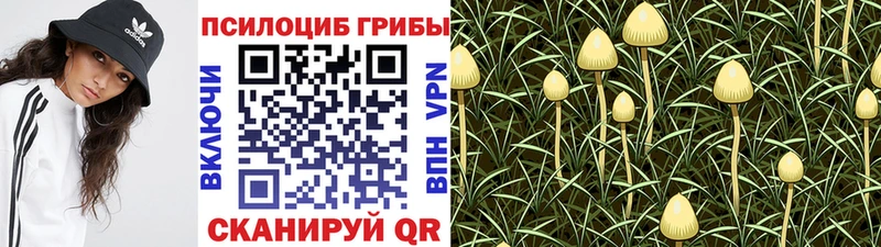 Купить  Россошь  Псилоцибиновые грибы мухоморы 